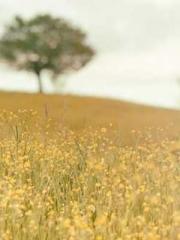Becoming a Farm Girl
