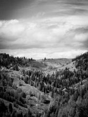 Transmigration: Feel