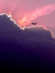 Transmigration: Feel